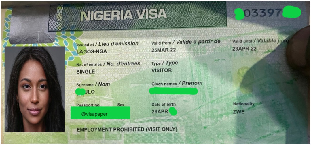 nigeria tourist visa process