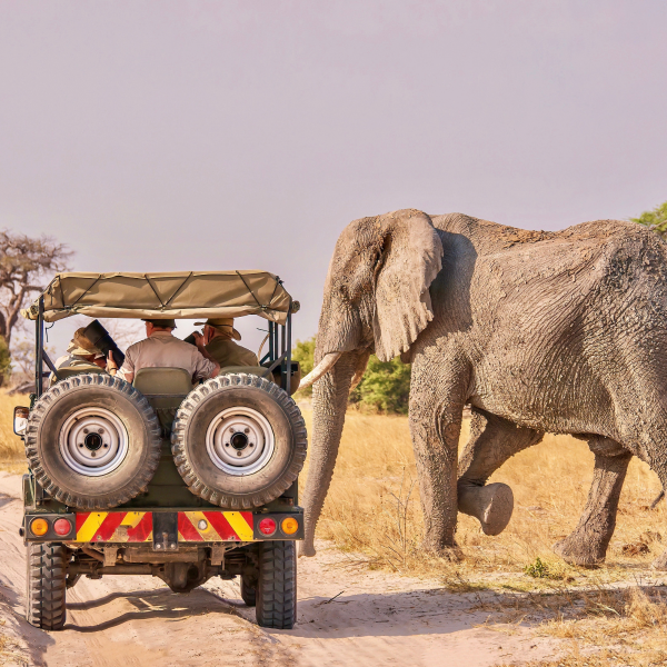 Botswana e-Visa takes you there